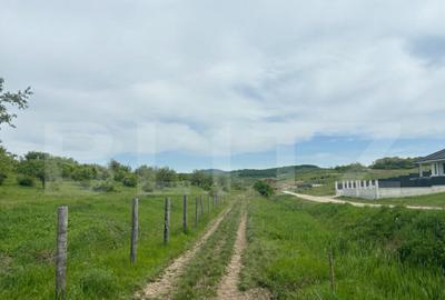 Teren extravilan, zona Sigmir,500mp - 2