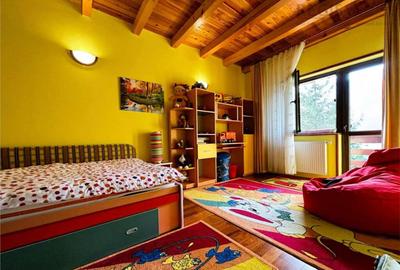 Vila de vacanta situata in Busteni - 11