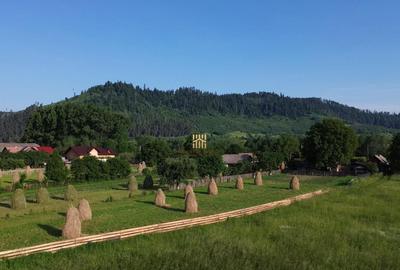 Teren 10304 mp cu casa locuibila! In Bucovina, Zona M... - 20