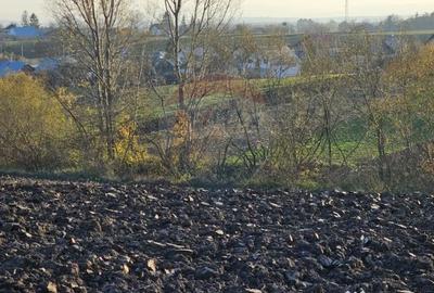 Teren de 6100 mp, în Stroiești - 12