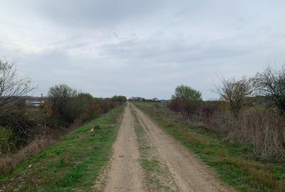 Teren Sabareni langa padure 10 minute pana in Bucuresti 6800mp - 6