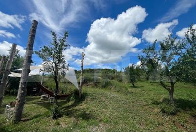 Casă individuală cu 4 camere cu Teren 2000 Mp în Rediu - 20