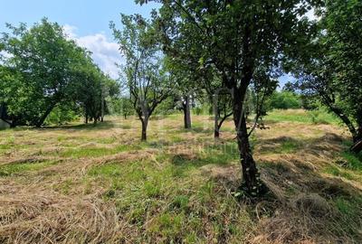 Teren Construcții intravilan de 4600 mp, în Zorilor - 2