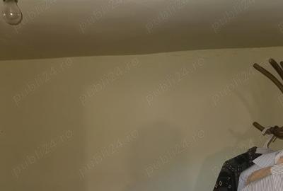 Schimb vand Casa Severin cu Simian Cerneti - 8