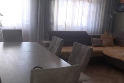 Cartierul Sasar, casa 17 ari teren - 10