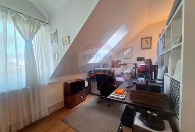 Doua case de vanzare in aceeasi curte, in zona Sub Arini - 10