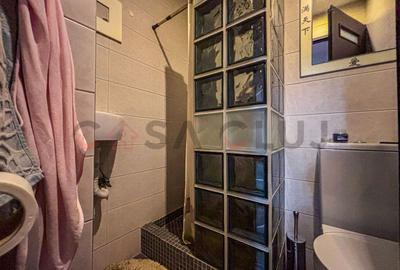 Intre Lacuri, Etaj Intermediar, Compartimentare eficienta - 8