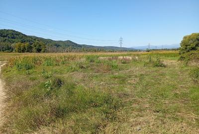 Teren agricol extravilan de 50000 mp, în Mihăești - 1