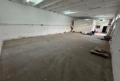 Hale pentru depozitare zona Halta Traian - Interioara 3 - 1