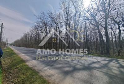 Teren Construcții intravilan de 5000 mp, în Ciorogârla - 5