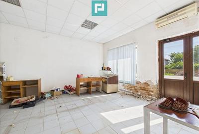 Cladire cu 5 camere cu teren ?i hala in Cenad - 8