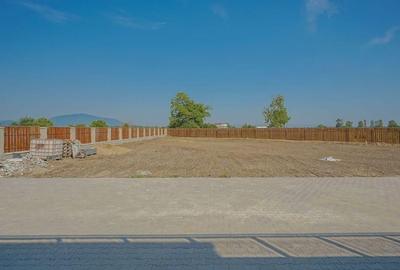 INCHIRIERE CASA FIRME - Teren 2000 mp Stupini - 5