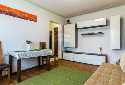 Apartament cu 3 camere semidecomandat, mobilat în Mănăștur - 4