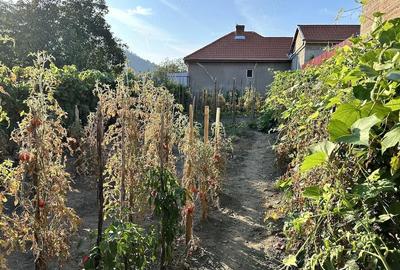 Casă cu 2 camere cu Teren 331 Mp în Central - 5