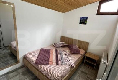 Cabana cu 7 dormitoare si 2 bai in Baile Figa - 9