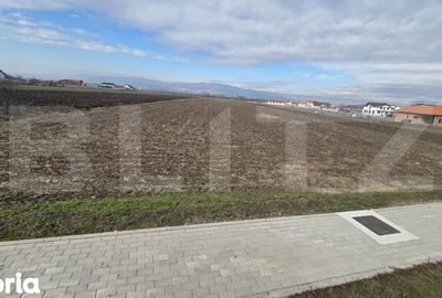 Teren de 14300 mp, în Ciugud - 2