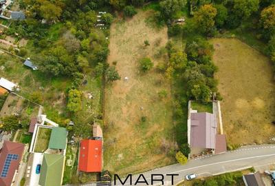 Teren Construcții intravilan de 120000 mp, în Nord - 8