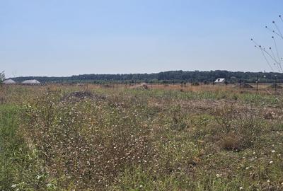 Teren Construcții intravilan de 504 mp, în Corbeanca - 3