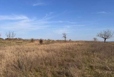 Spațiu comercial, în Cetariu - 8