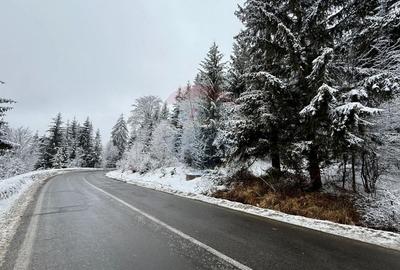 Teren intravilan de 1419 mp, în Moroeni