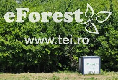Casă cu Teren 760 Mp în Crevedia - 1