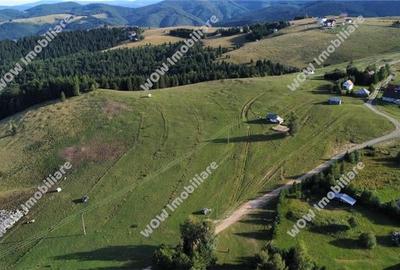 De vanzare teren intravilan 673 mp in Paltinis - 3