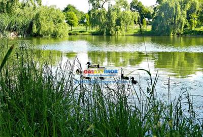 Teren de 330 mp, în Vidra - 5