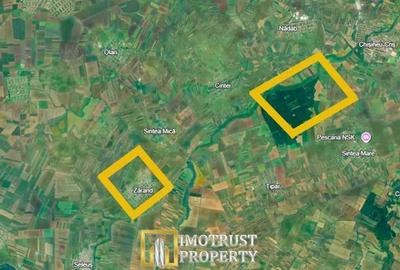 Teren în Zărand - 2