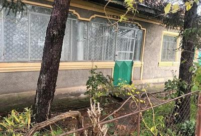 Casă cu 3 camere cu Teren 1100 Mp în Socetu - 5