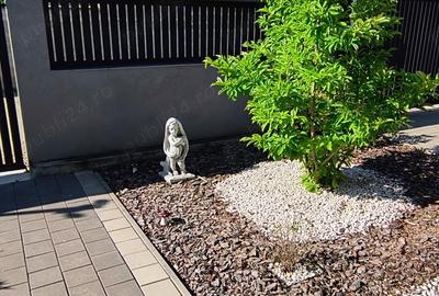 Casă cu 5 camere cu Teren 333 Mp în Central