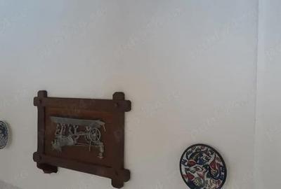 Casă cu 4 camere cu Teren 1439 Mp în Cermei - 3