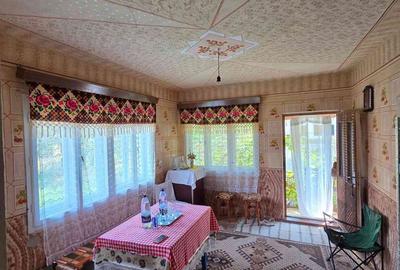 Casă cu 4 camere cu Teren 1278 Mp în Șișești - 3