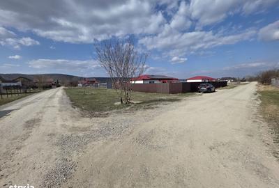 Casă cu 2 camere cu Teren 416 Mp în Hărman - 4