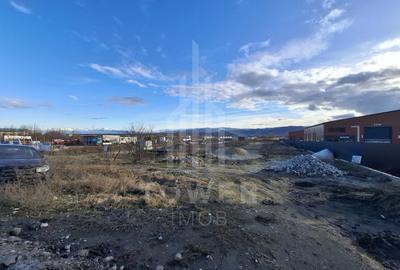 Teren Construcții intravilan de 3100 mp, în Cristian - 3