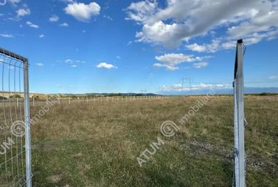 Teren de 4200 mp, în Piața Cluj