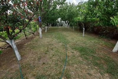 Casă în Dumbrăvița - 3