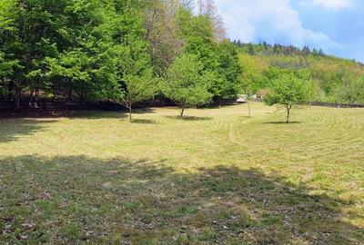 Spațiu comercial, în Clit - 3