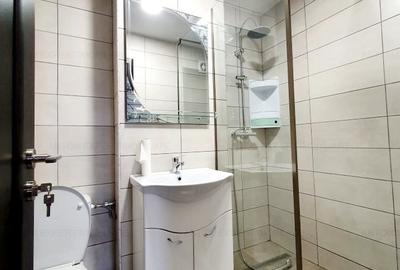 Nicolae Grigorescu/6 minute metrou - 6