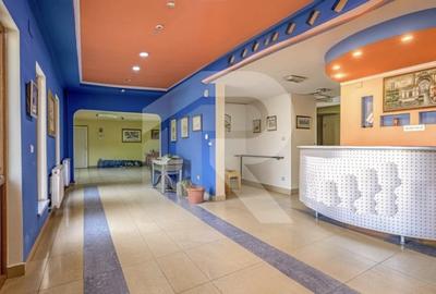 Spațiu industrial, de 3,884 mp, în Pantelimon - 3