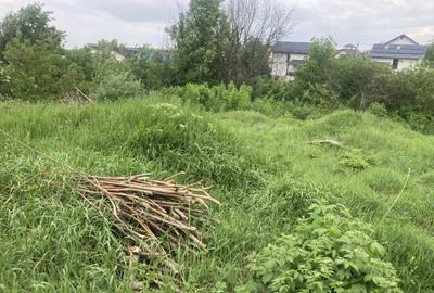 Breazu!600mp! Teren intravilan,toate utilitatile,spatii verz - 1