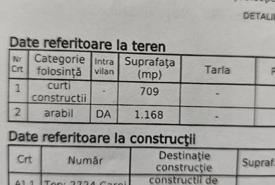 Casă cu Teren 1886 Mp în Central - 4