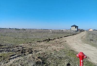 Teren în Cârcea - 3