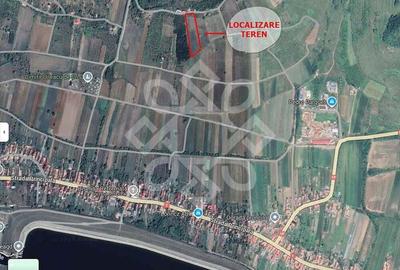 Teren extravilan de vanzare 4045 mp in zona Tileagd Teren extravilan de vanzare 4045 mp in zona Tileagd - 3