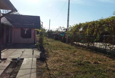 Spațiu comercial, în Amara - 7