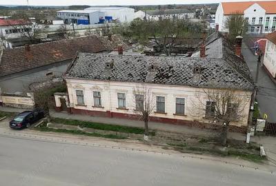 Conac Boieresc casa generoasa cu 8 camere - Salard - IMOBIHOR - 2