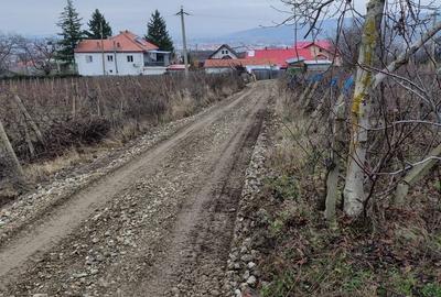 Teren de 2800 mp, în Exterior Vest - 4