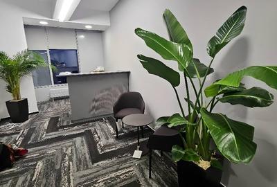 Birou, de 200 mp, în Floreasca - 3