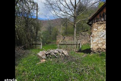 Teren de 3000 mp, în Certeju de Sus - 6