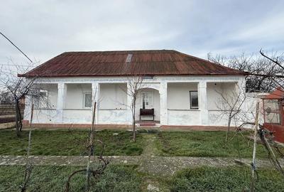 Casa de vanzare in Firiteaz, 24 km de Arad, 2787 metri patra?i. - 2