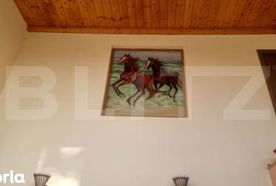 Casă cu 7 camere cu Teren 775 Mp în Cocorăștii Colț - 7